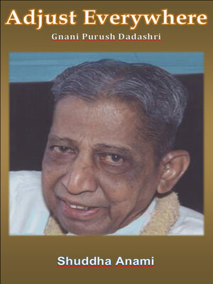 cover image of Adjust Everywhere